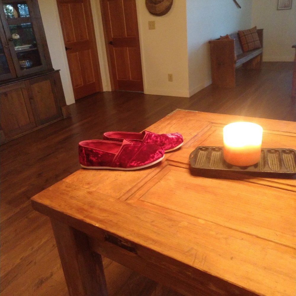 Toms Burgundy Velvet Shoes